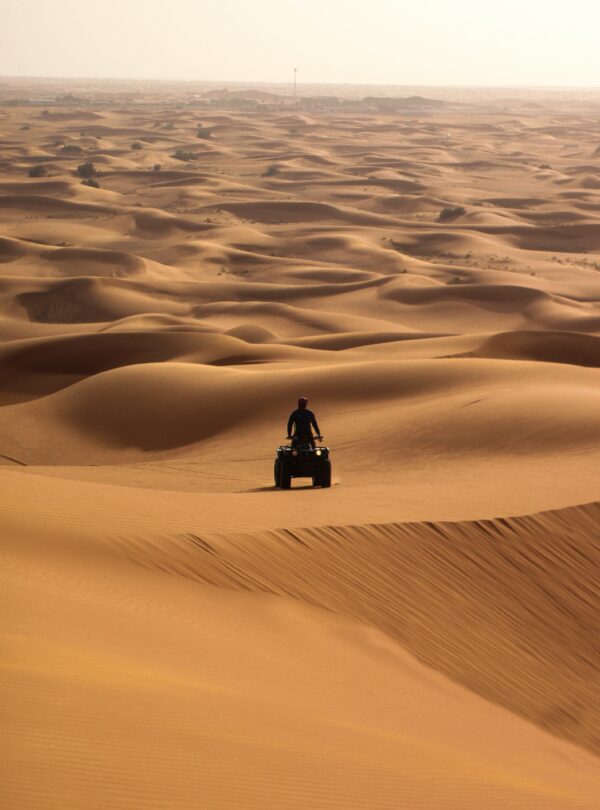 Desert safari, Dubai