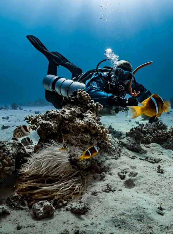 Scuba diving, Sri Lanka