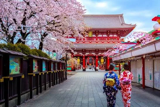 Kyoto temples and cherry blossoms, Japan
