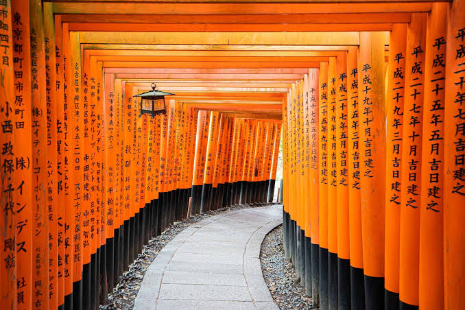 Japan Travel Tips 2026 | Tips, Costs & Itinerary