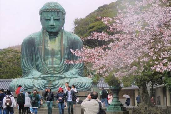 Japan Visa Guide 2026 | Tips, Costs & Itinerary