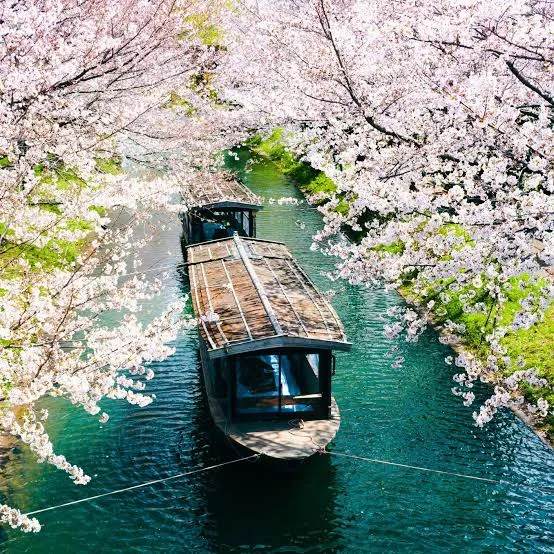 Japanese Food Guide 2026 | Tips, Costs & Itinerary