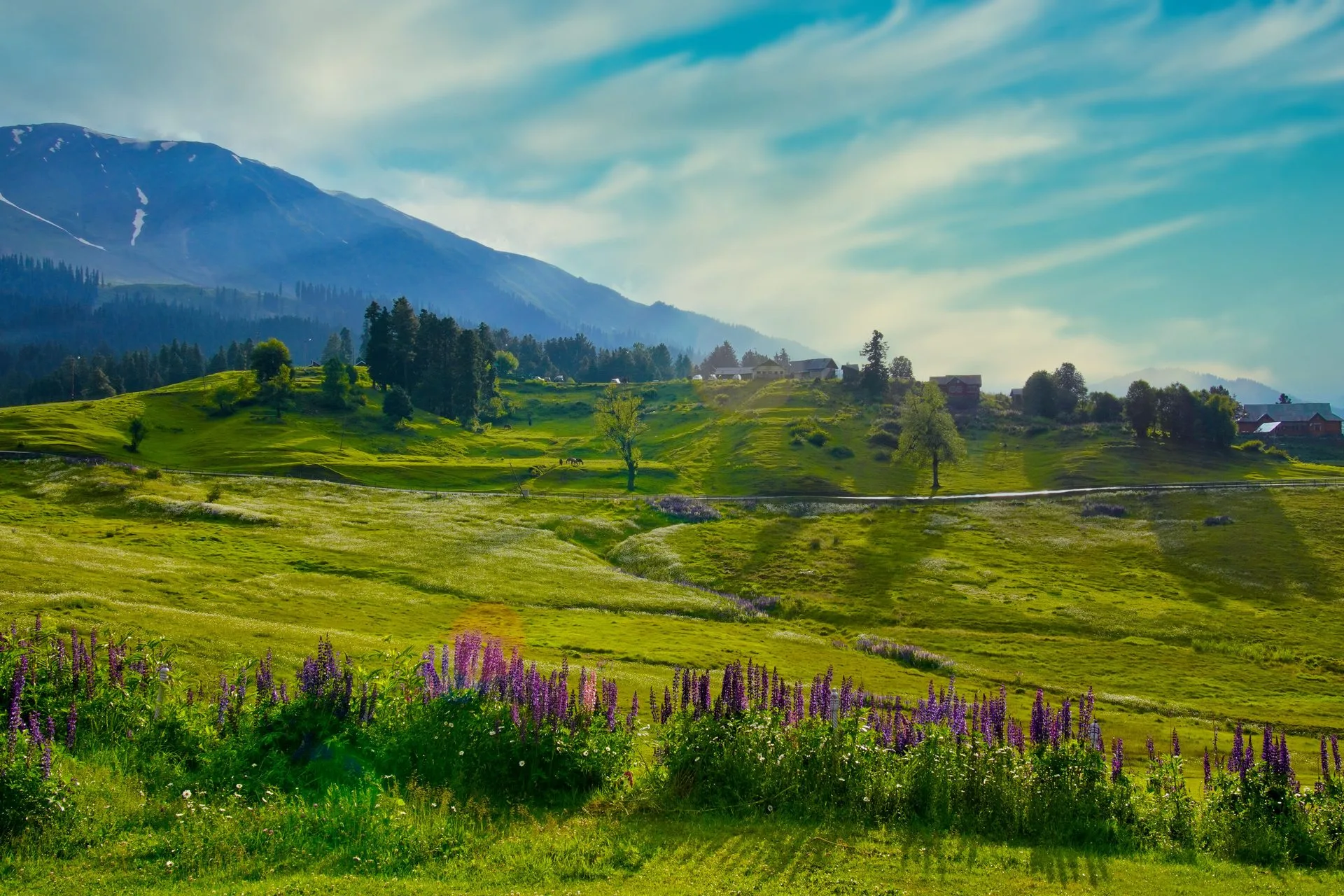Dal Lake, Kashmir