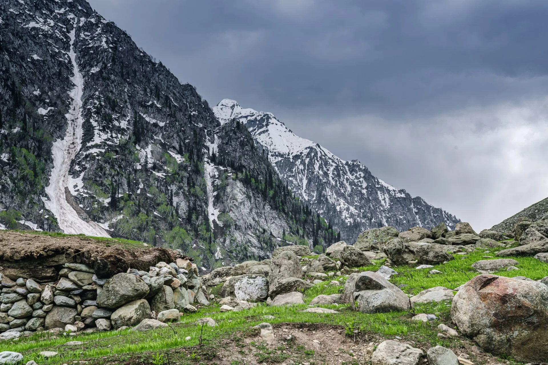 Gulmarg meadows, Kashmir