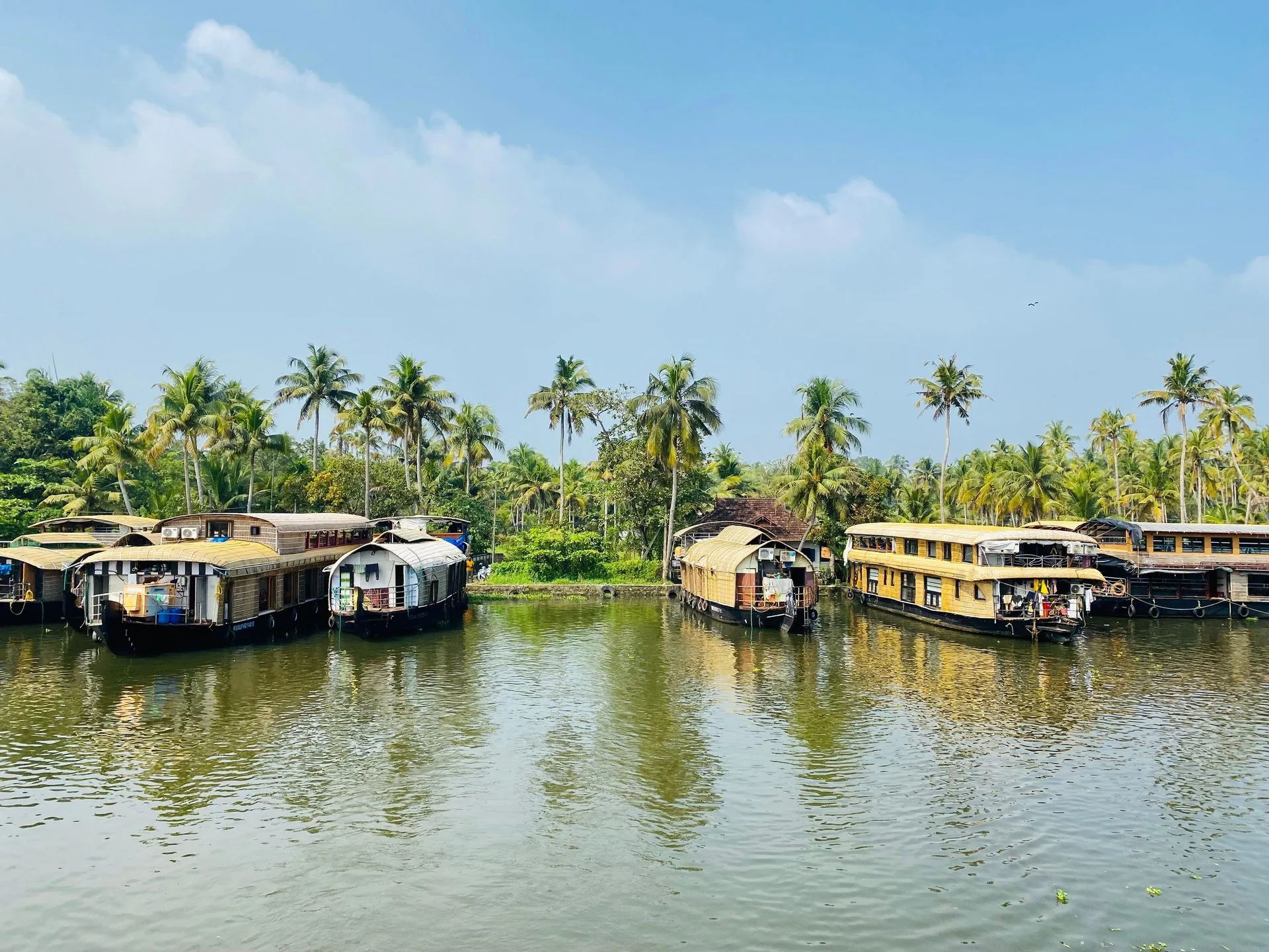 Kerala Escape | Munnar & Alleppey