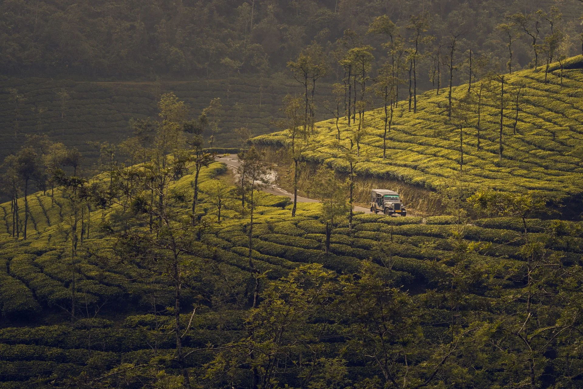 God's Own Country | Munnar, Thekkady & Alleppey