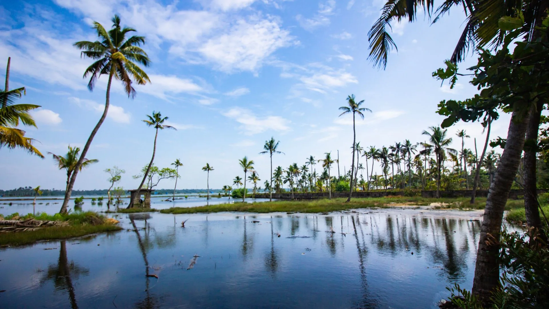 Kerala Highlights | Munnar, Thekkady, Alleppey & Kochi
