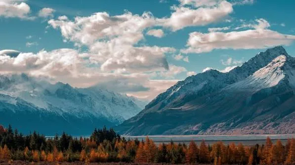 Best Time to Visit New Zealand – Season-Wise Travel Guide