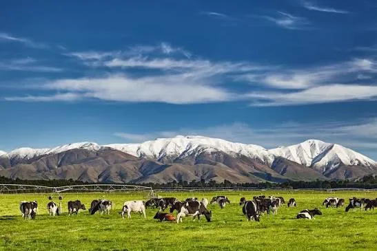 Christchurch Travel Guide – Gardens, Gothic Architecture & Itinerary
