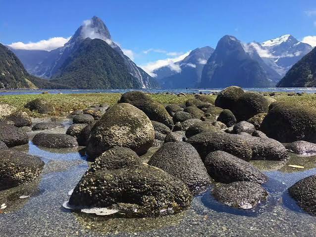 New Zealand Travel FAQs β Common Questions Answered