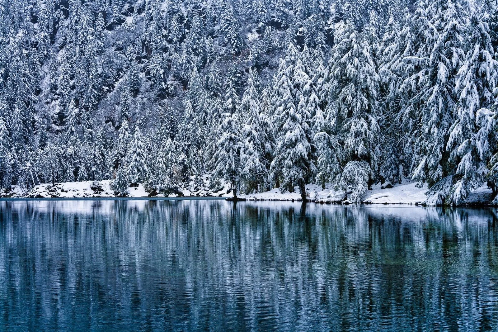 Alpine Elegance Switzerland